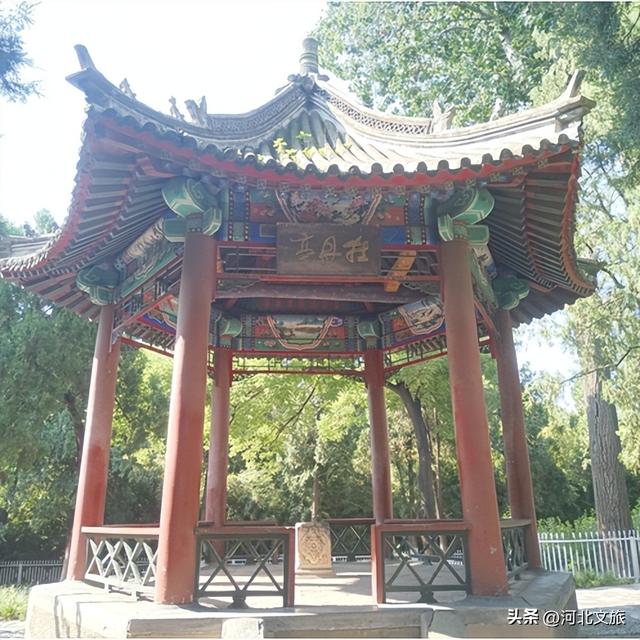 在保定，体验真实版“疯狂动物城”！