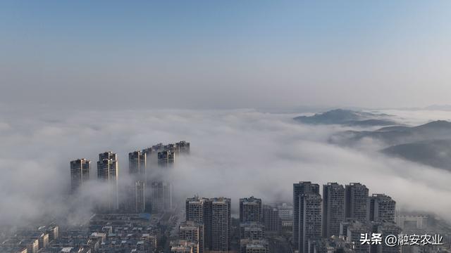 广西融安：云雾缭绕 美景如画