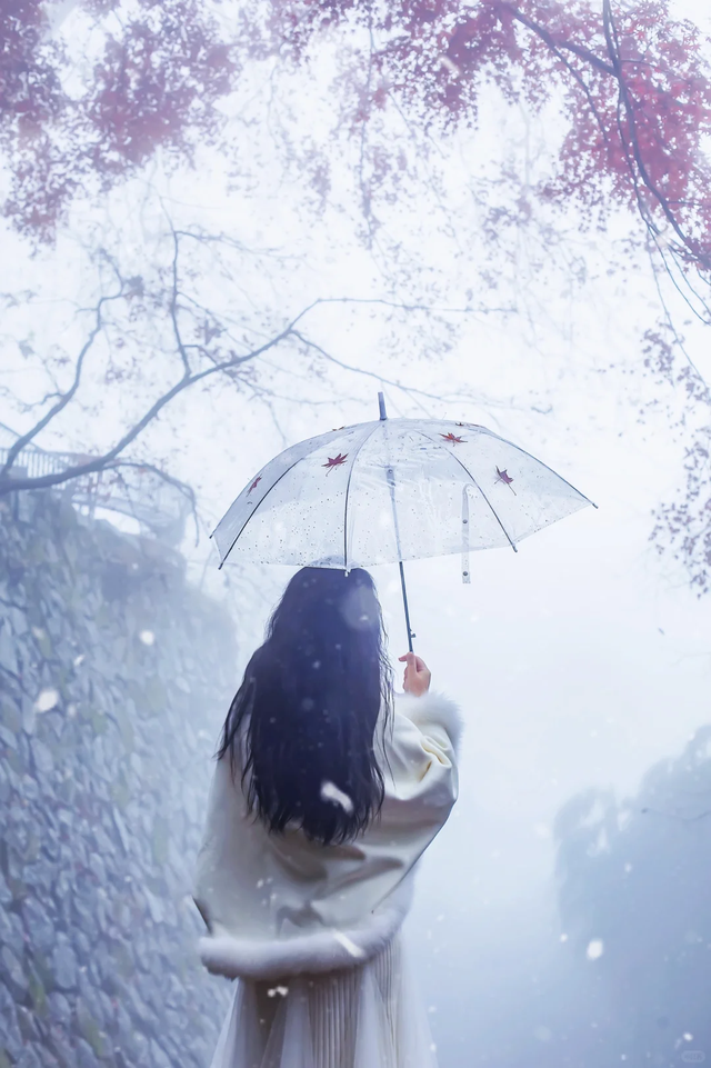 下雪了！下雪了！浙江的第一场雪来了！