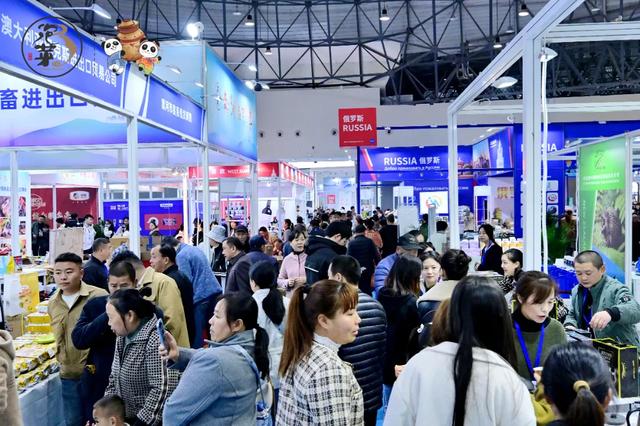 东坡文旅 持续上分中