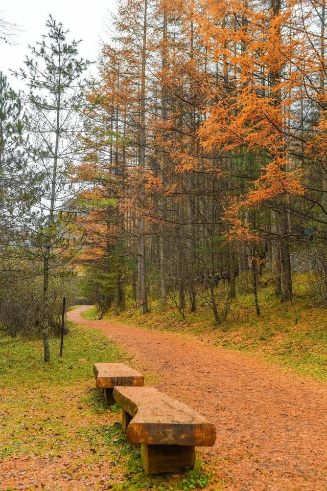 山野拾童趣!带娃来汉中这里,共享秋日亲子好时光~