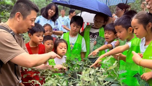 “谷粒学堂”品牌活动启航!首期亲子探秘——龙王山奇遇记