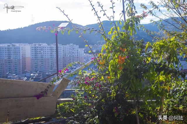 大理佛塔寺的山泉水是净化过的，老百姓不仅可以免费取，还不限量