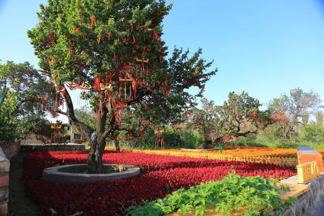 喜报！呼和浩特市回民区新入选3个自治区旅游品牌项目