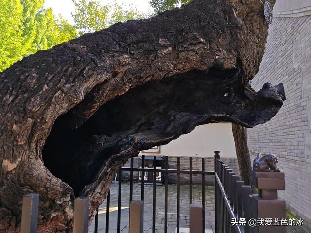 到保定旅游，其他地方可以不去，但这个景点必须要来参观
