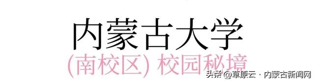 呼和浩特赏花攻略：最佳地点+公交出行指南