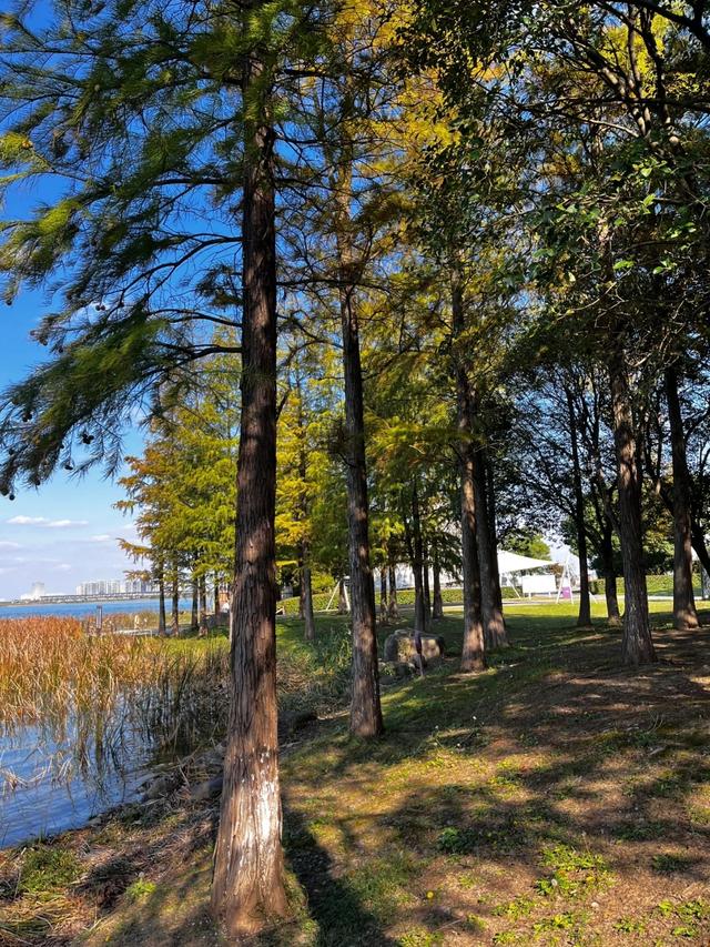 刚从相城回来，毫不客气的说，相城就是全国郊区化发展的天花板！