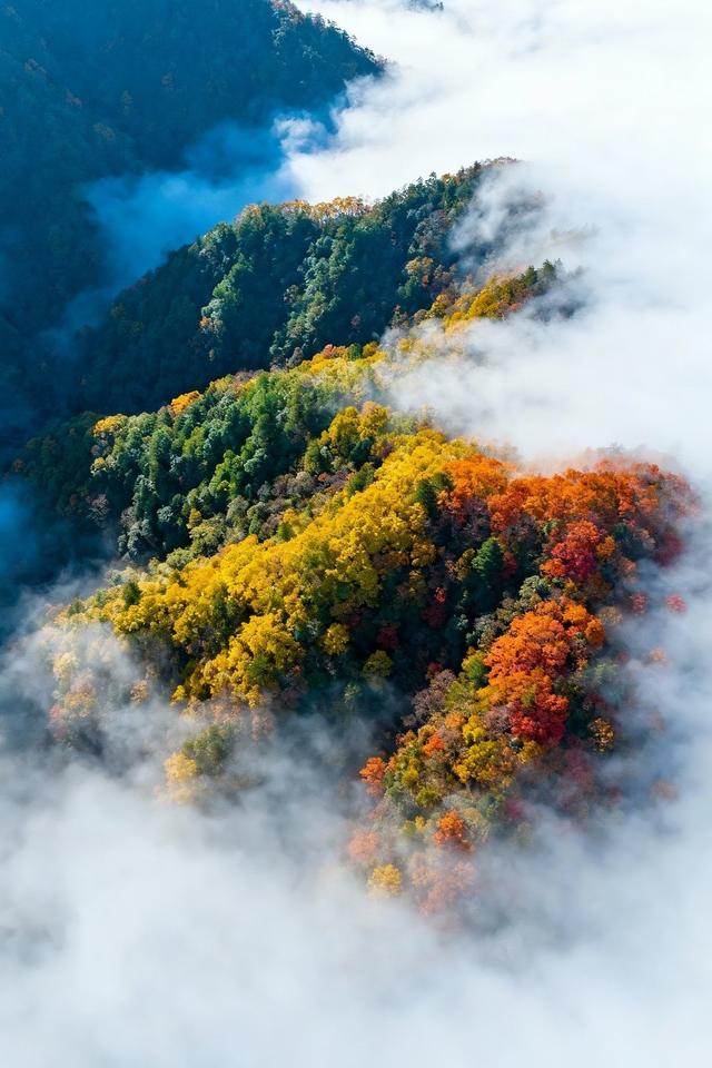 分享图片一迷人的风景
