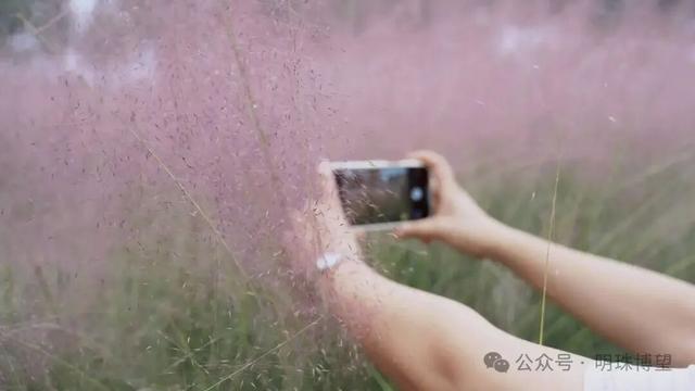 有预感！博望区这个地方要成顶流~