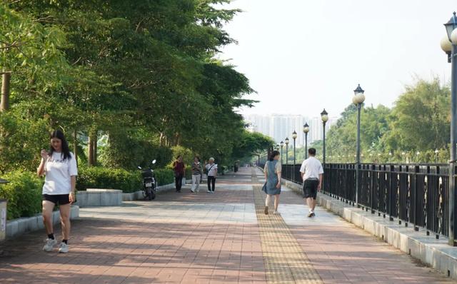 怀集文旅体事业发展,五年成绩很出彩!