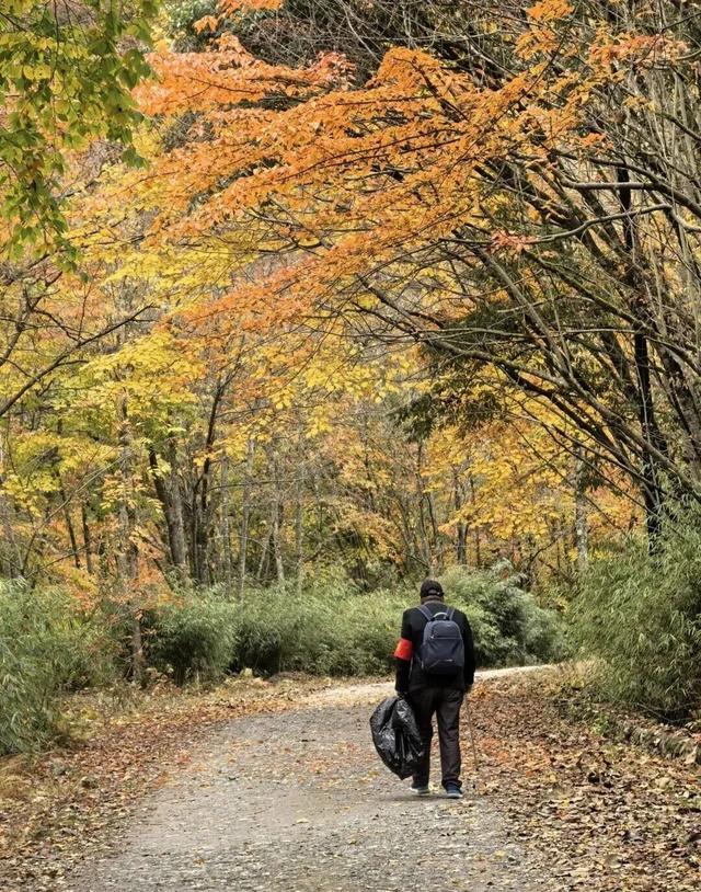 【美丽四川】秋日唐家河，闯入触手可及的油画世界‖柳红樱