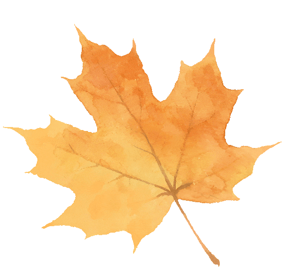 2025上海秋叶地图出炉，徐汇这些点位不可错过！