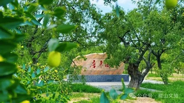 你好，11月！运城文旅精彩大放送~