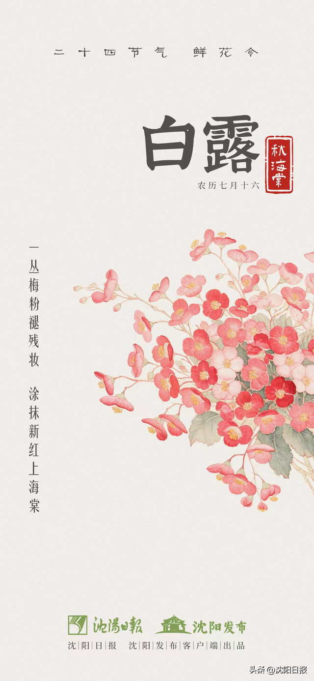 【一城花信·白露】群芳竞秀 秋日胜春朝