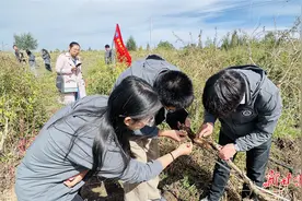 传经送宝，把科技带进企业——甘肃博士后科技服务团走进河西图片