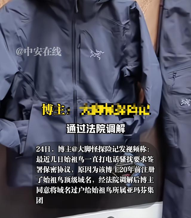 蔡国强烟花秀后续：始祖鸟更多黑料被扒，买走顶级域名却不付钱