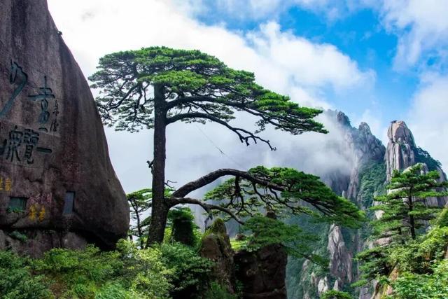 此心安处是黄山｜一位跑者的35场马拉松后，在徽州找到精神归乡 | 皖美冬日 | 第十五届安徽国际文化旅游节