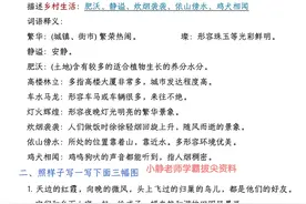 寒假预习！四年级下册语文1-8单元语文园地考点汇总图片