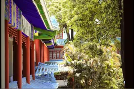 深圳游玩攻略！40个免费景点，快来看看都有哪些！图片