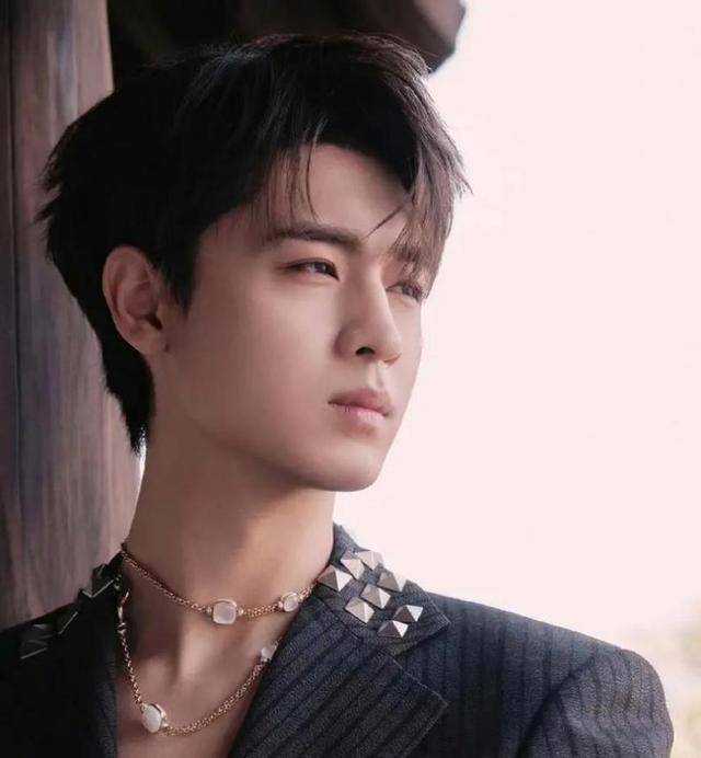 外表光鲜亮丽，实则是流氓头子、家暴恶魔，这5位男星太令人作呕