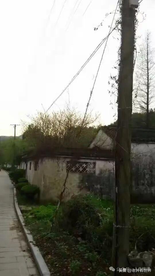 走过春晖旧舍 ‖ 胡成江