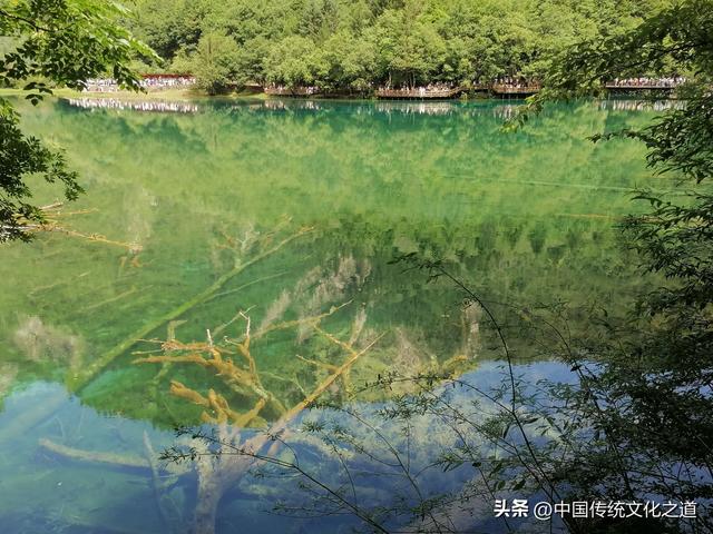 高原的风景太美了,但我吃不消