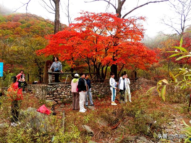 南太子河弯最多最惊险也是风光最美的一段——本溪“湖里”