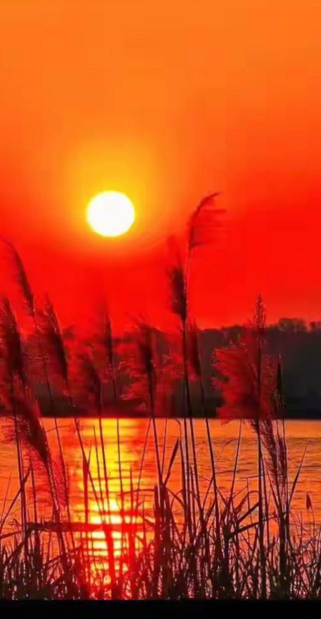 深秋夕阳，余晖漫洒