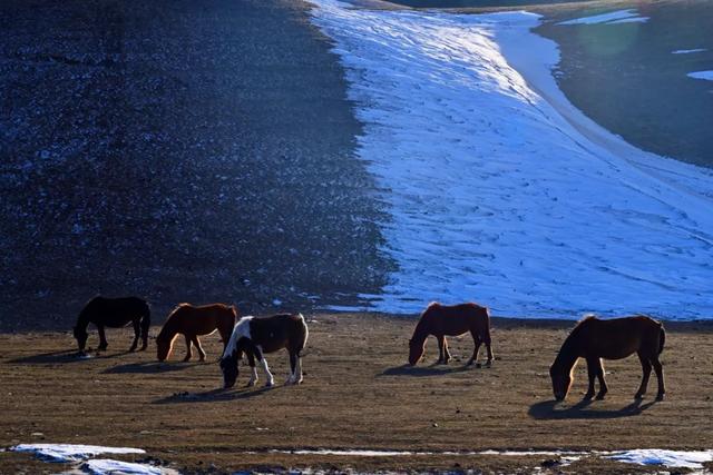 如要选一个冬季最佳拍雪景的地方，首选一定是它