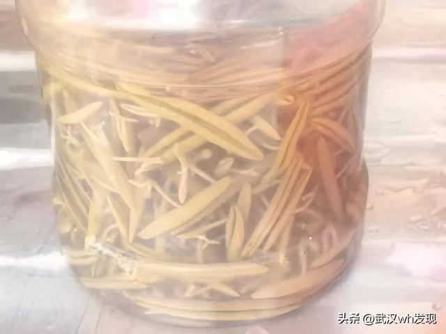 乘城铁动车追凉风！寻幽利川洞天，醉氧神农架林海！