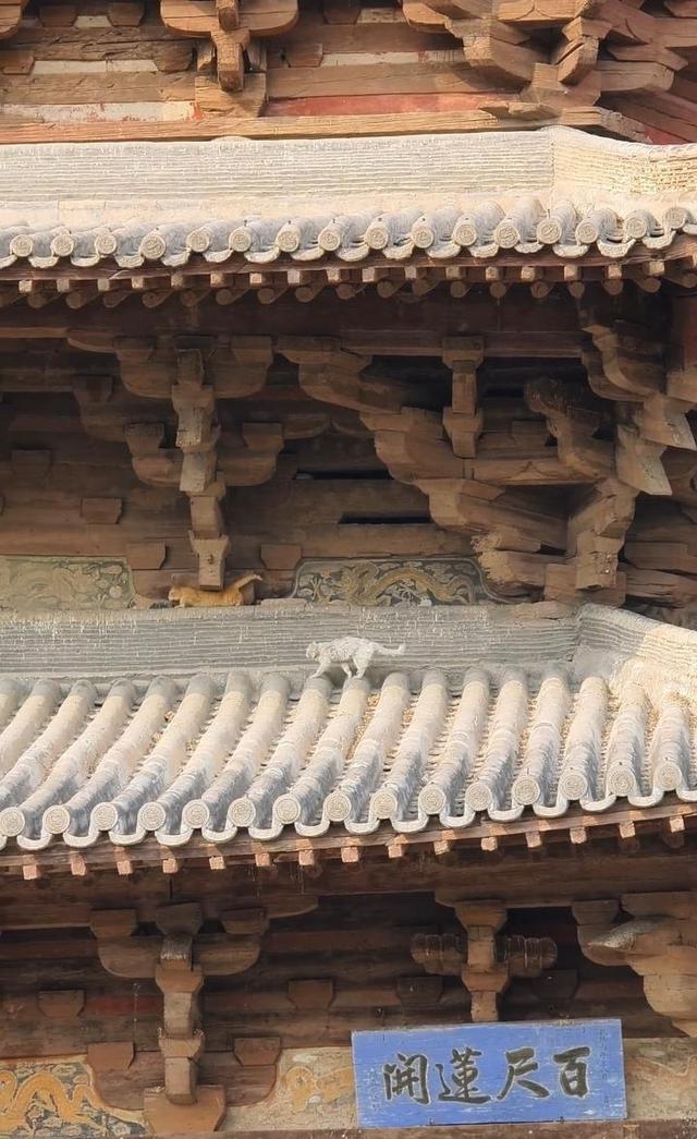 山西应县木塔景区为守塔猫建“猫塔”，“应县猫塔”成新晋网红打卡点