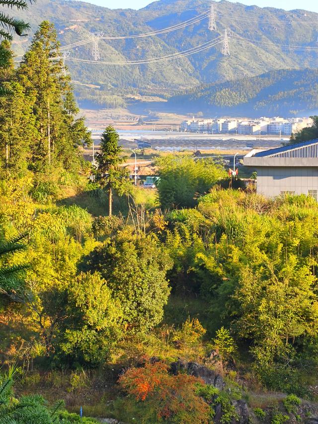 周宁自驾二日游：浦源村 (2025·10·5～6)