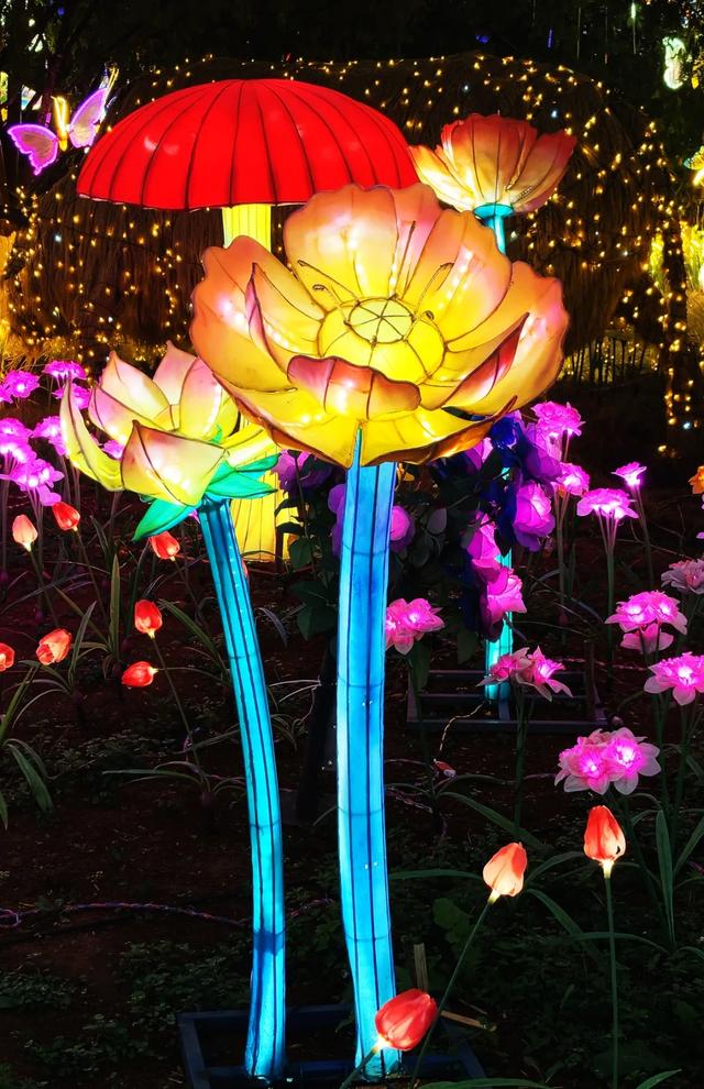 桂林:首届非遗千灯游园,光影艺术璀璨盛宴!