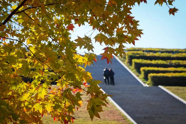 重阳节,净月潭免票!
