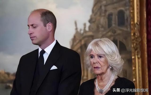 威廉要废卡米拉后位，查尔斯转身给新头衔，宫斗小白敌不过老狐狸