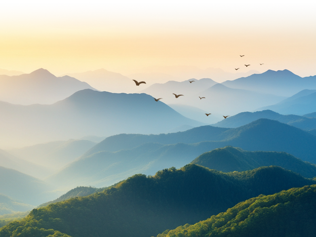 四明山：奇峰秘境随秋舞 古木珍禽映日明