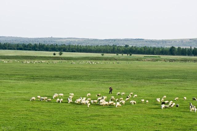 北京家门口的草原：张北周末自驾全攻略，赴一场风车与历史的约会