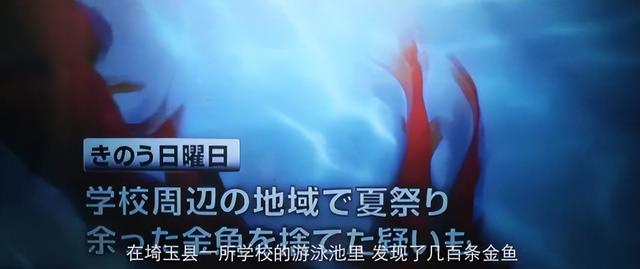 禁不住，这都第几个热搜了