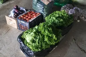 1983年借给二姨300元3年未还，赶集看到二姨在卖菜，母亲赶紧躲开图片