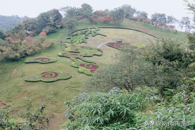 崇州竹艺之旅，带娃去去逛竹村、玩竹编、爬竹山、捡秋竹