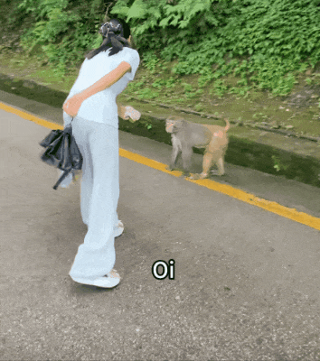 远离禽兽