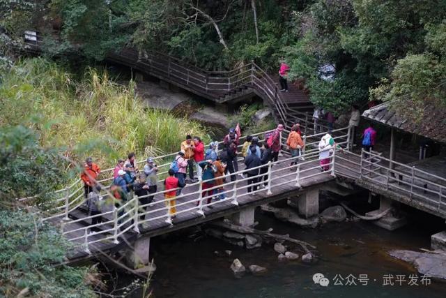 “洗肺之旅”究竟有多上头？武平实力圈粉北京游客~