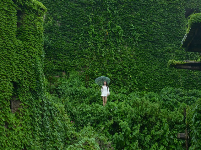 从你的全世界路过81：墟村浮光