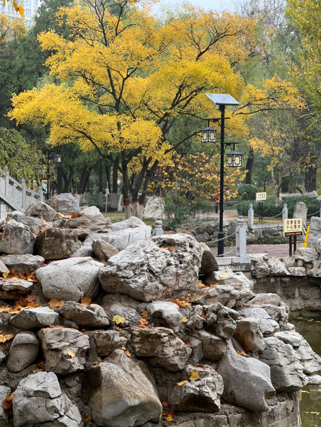 去公园，寻找城市的“书签”