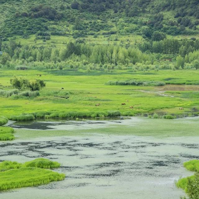 转山转海节倒计时！喊你来做一天“摩梭人”！