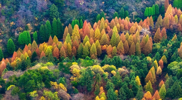 别只知道庐山！江西这片被低估的土地，藏着你想象不到的绝美