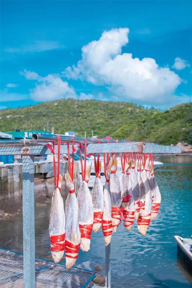 中国最美的12个冬季海岛，温暖又治愈，接下来的3个月挑一个去！