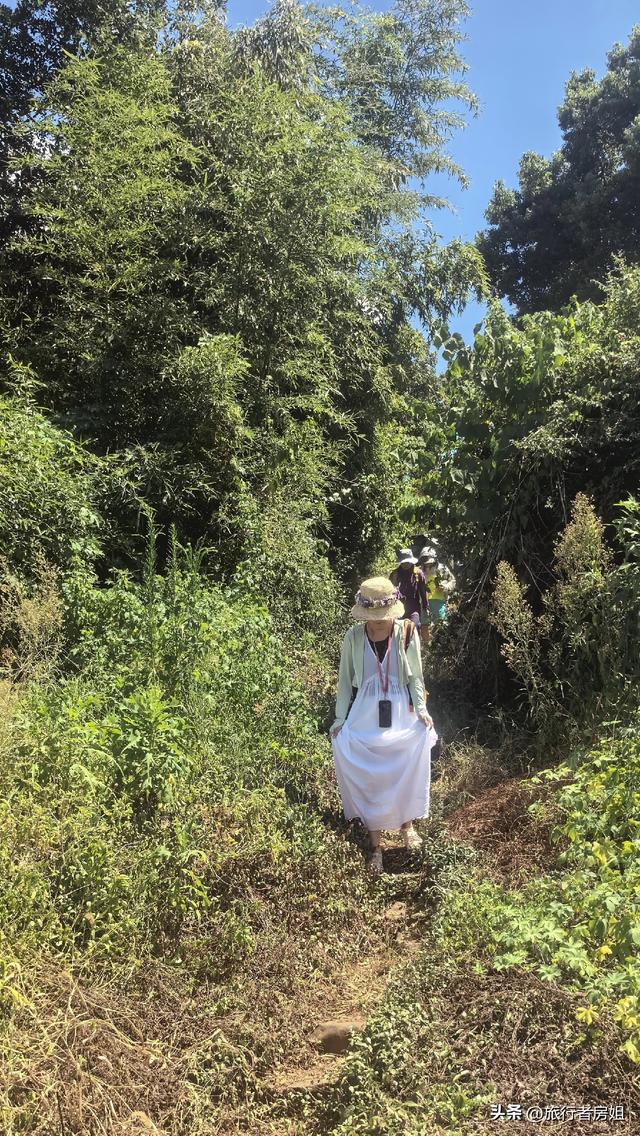 这里不是三亚却有着海南的风格，景点不大但很出片