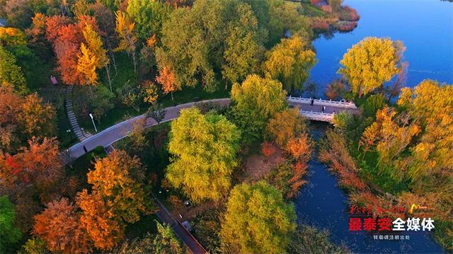 秋日宁阳，定格金色浪漫