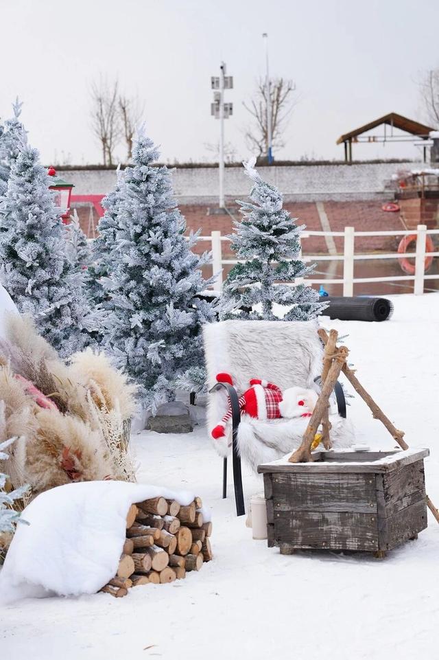 2026“马”年免费福利、吃临沂炒鸡送门票、年卡……千万别错过！